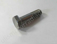 Federbeinhalteschraube für BMW R26 und R27, hinten, links