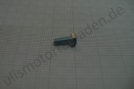 Schraube für Kupplung 1-Zylinder, auch Ölpumpendeckel für BMW R60/6-R90S, M 6 x 16, 6-Kant