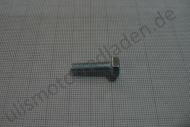 Schraube M 6 x 20, 6-Kant