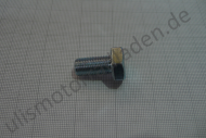 Schraube M10 x 1 x 20, 6-Kant
