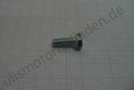 Schraube für Lagerschild 1-Zylinder und Limadeckel BMW R51/2, M 6 x 18, 6-Kant