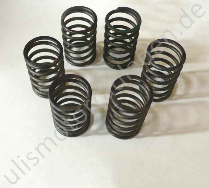 Kupplungsfeder für BMW R51/2-R68, Satz (=6 Stück)