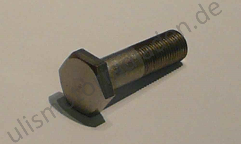 Federbeinhalteschraube für BMW R50/5-R100 bis Baujahr 09/1984