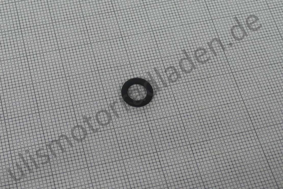 O-Ring Drosselachse R75/5-R100