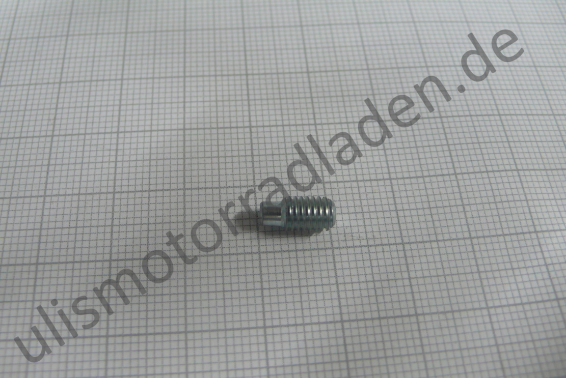 Madenschraube M 5 x  8 mit Zapfen