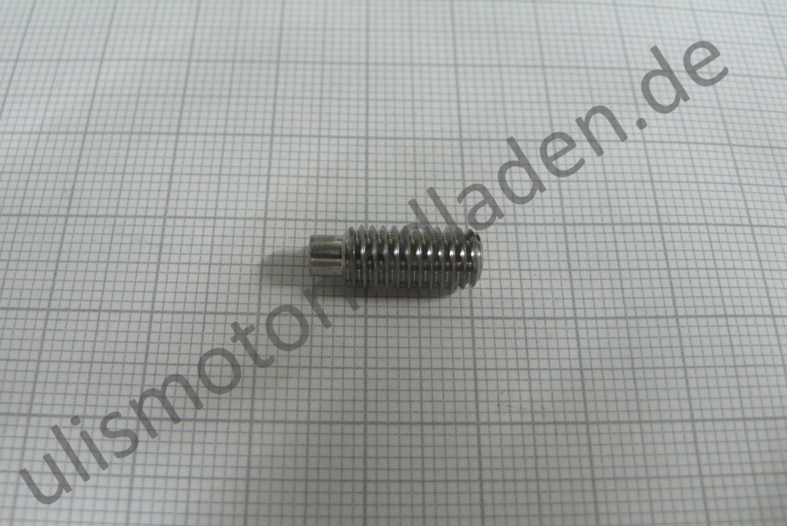 Madenschraube M 6 x 15 mit Zapfen