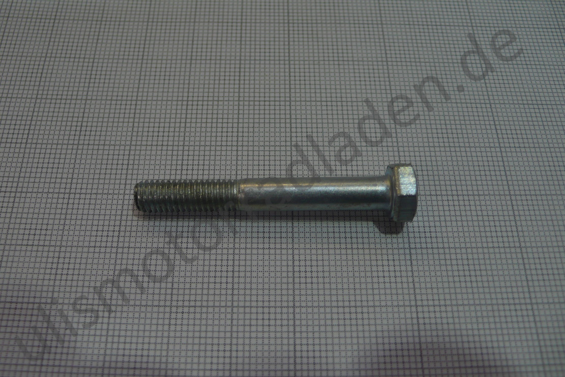 Schraube M 6 x 45, 6-Kant mit Schaft