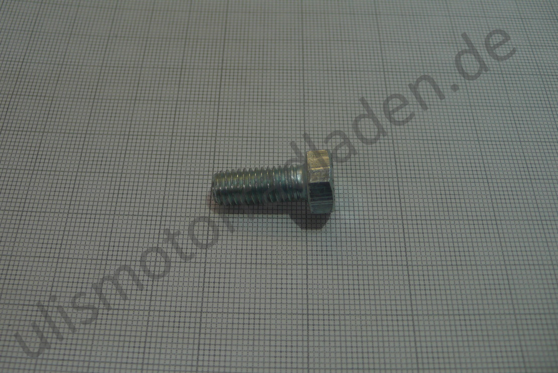 Schraube für Kettenspanner, simplex für BMW R45/R65 und R60/7-R100, M 8 x 20, 6-Kant