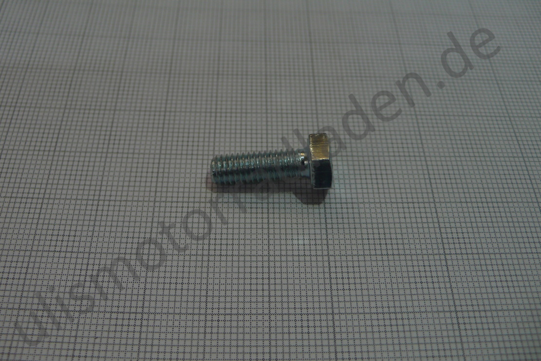Schraube für Lagerschild 1-Zylinder und Limadeckel BMW R51/2, M 6 x 18, 6-Kant