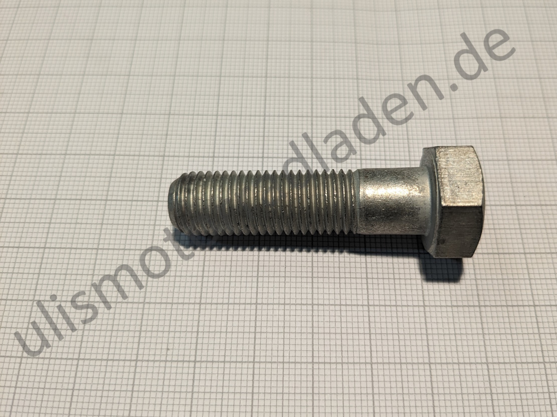 Federbeinhalteschraube für BMW R50-R69S, hinten, links